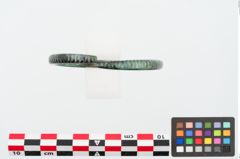 Foto von Bronzearmreif (NHMW-PRAE-024878)